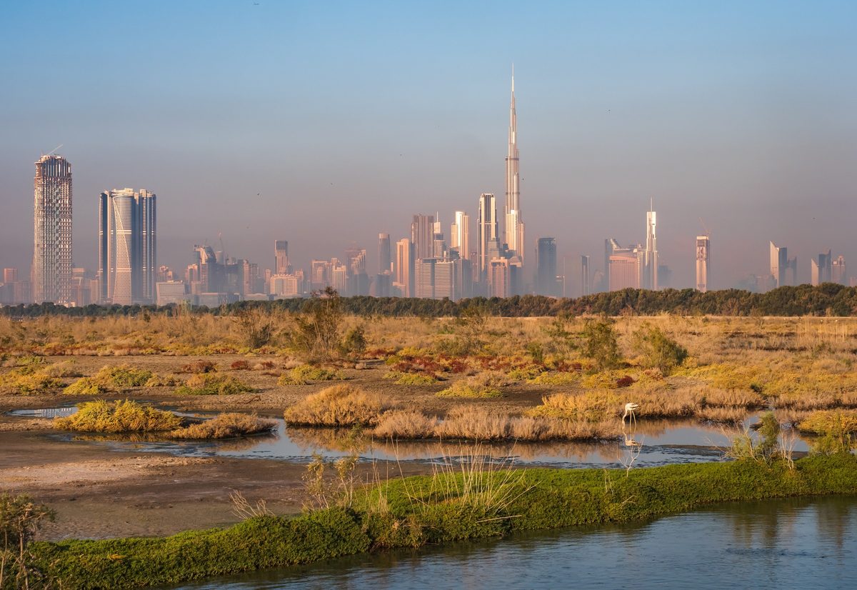 The Ras Al Khor wetland with a flamingo in the foreground and the Downtown Dubai skyline on the horizon